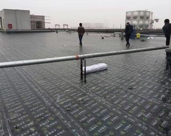 屋顶补漏防水工程