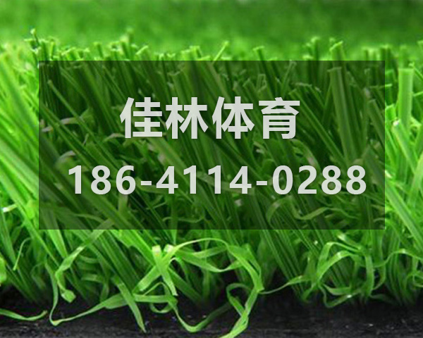 人造草坪