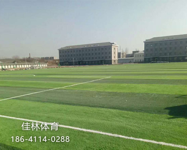 人造草坪球场